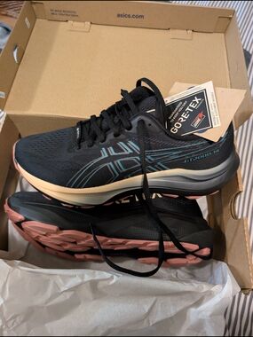 ASICS GT-2000 14 Goretex